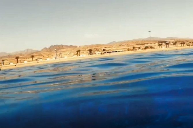 Shore Snorkeling - Two Hours - Key Points