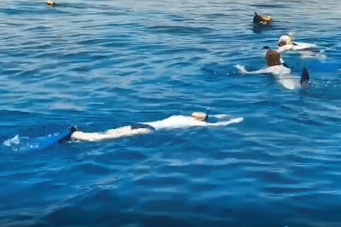 Shore Snorkeling - Two Hours - Overview and Location