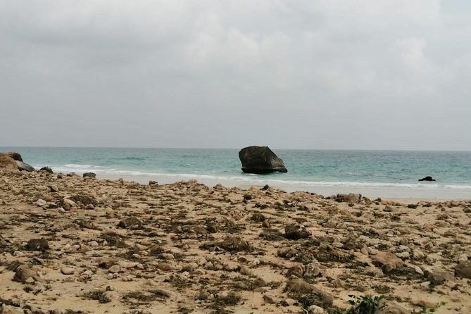 Shore Time at Al Fuzaiyah Beach /Half Day Guided Tour. - Health and Safety Considerations