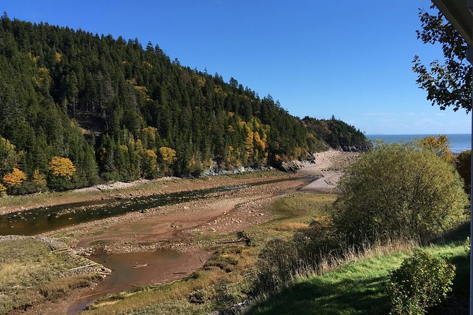 Shore Tours - Inclusions and Meeting Point