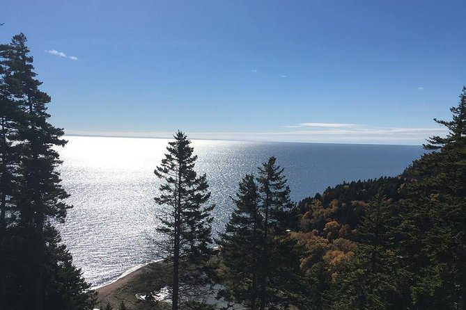 Shore Tours - Exploration of Bay of Fundy