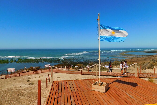 Shore Tours Peninsula Valdes Cruise Ship Passengers Puerto Madryn - Key Points