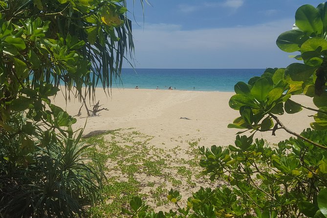 Shoreline Cruise and Secluded Beach - Group Size and Duration