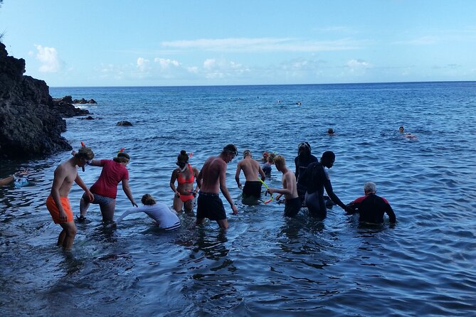 Shoreside Fun-Day With Titou Gorge, Hot Springs & Champagne Reef - Guest Experiences and Feedback