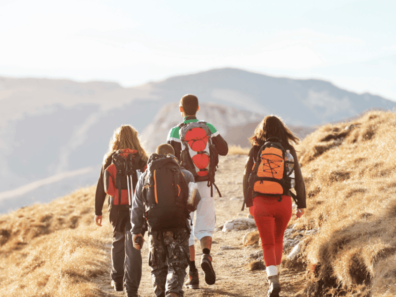 Short and Scenic: 3-Day Ghorepani Poon Hill Trek Adventure - Itinerary Details