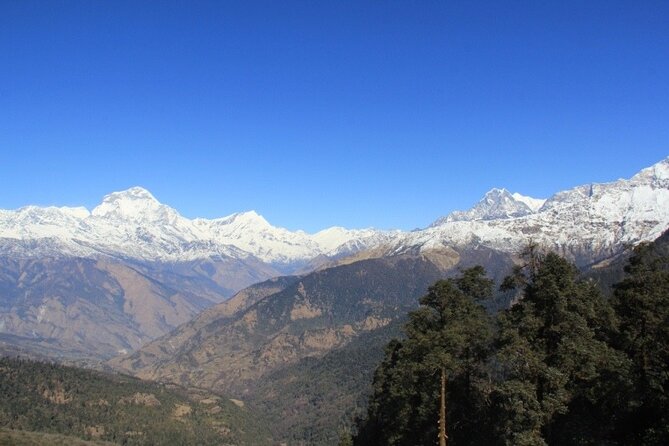 Short Annapurna Base Camp Trek - 7 Days - Physical Fitness and Accessibility