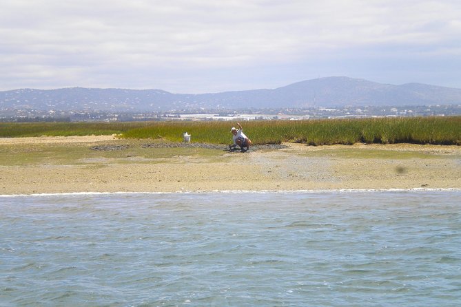 Short Boat Trip of the Algarves Ria Formosa Lagoon From Faro: 1 Hour - Confirmation and Accessibility