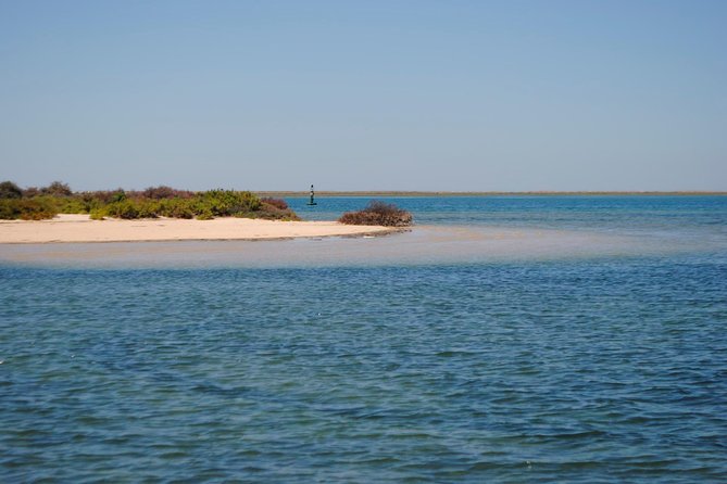 Short Boat Trip of the Algarves Ria Formosa Lagoon From Faro: 1 Hour - Private Tour Experience