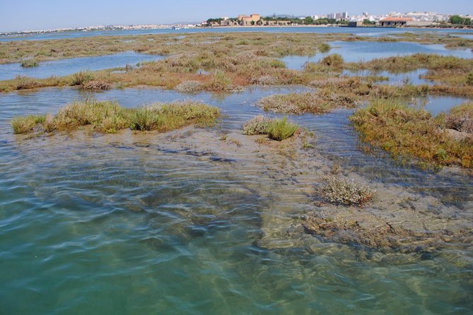 Short Boat Trip of the Algarves Ria Formosa Lagoon From Faro: 1 Hour - Boat Trip Duration