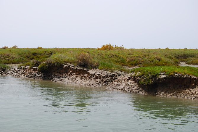 Short Boat Trip of the Algarves Ria Formosa Lagoon From Faro: 1 Hour - Location and Transportation