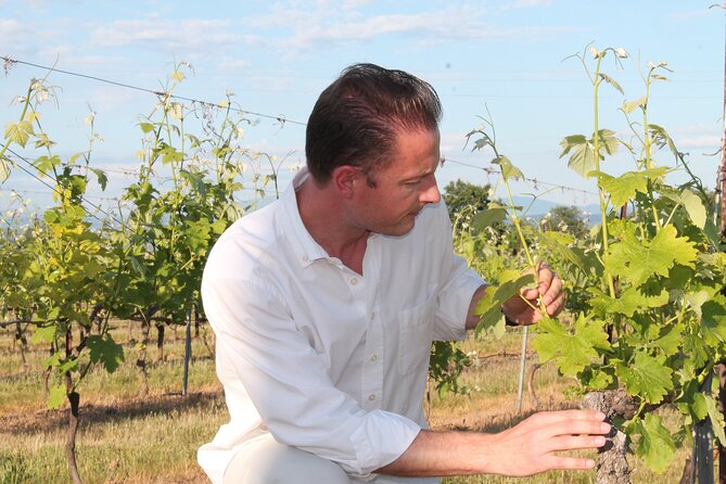 Short Day Tour Around Aix En Provence and Wine Tasting - Accessibility and Dress Code