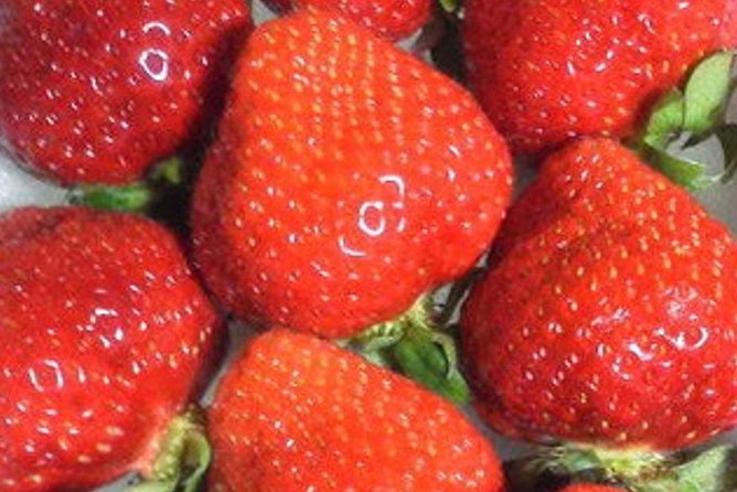 Short Day Trip Chater Bus to Strawberry Picking & Shop in Fukuoka - Shopping Opportunities in Fukuoka
