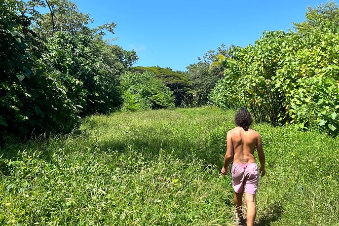 Short Hike To Secret Jungle Tide Pool (Private) - What to Expect
