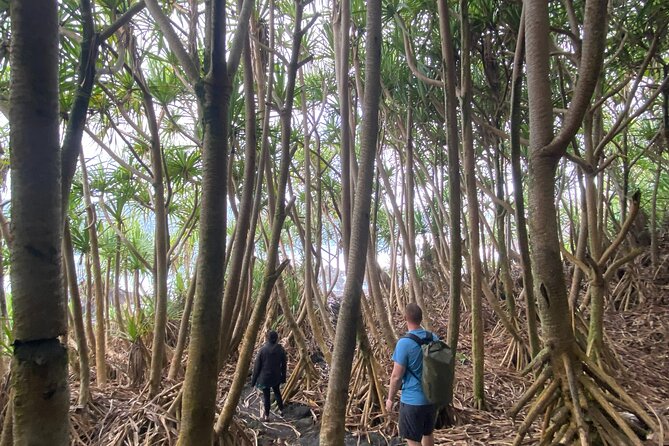 Short Hike To Secret Jungle Tide Pool (Private) - Additional Info