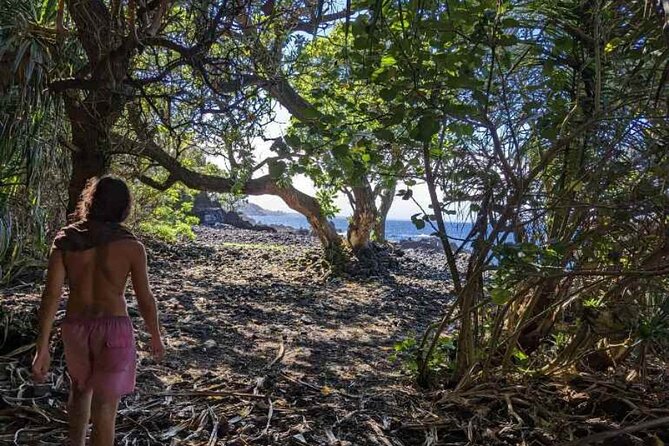 Short Hike To Secret Jungle Tide Pool (Private) - Transportation