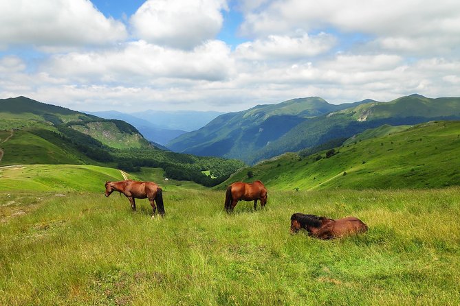 Short Horseback Riding - Kolasin - Inclusions
