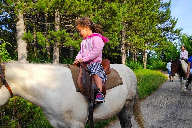 Short Horseback Riding - Kolasin - Additional Information