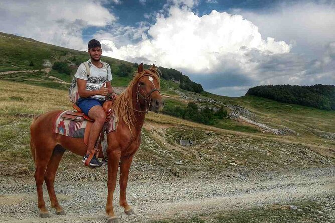 Short Horseback Riding - Kolasin - Reviews and Pricing