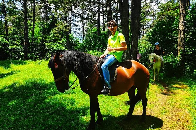 Short Horseback Riding - Kolasin - Getting to Kolasin