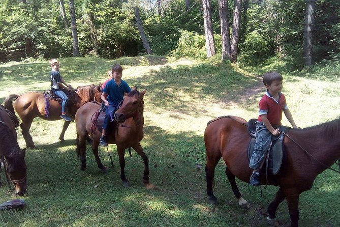 Short Horseback Riding - Kolasin - What to Expect