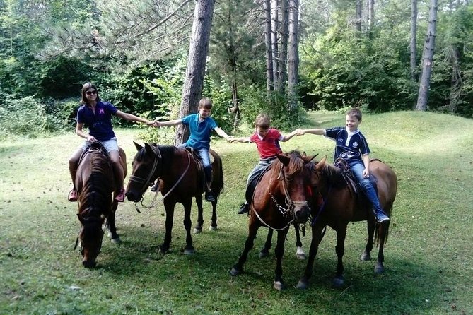 Short Horseback Riding - Kolasin - Booking and Cancellation