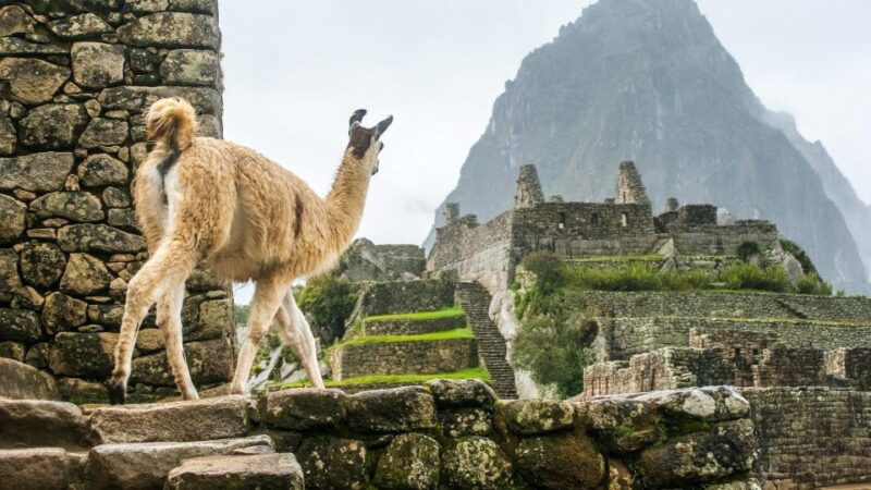 Short Inca Trail to Machu Picchu 2 Days - Highlights and Experiences