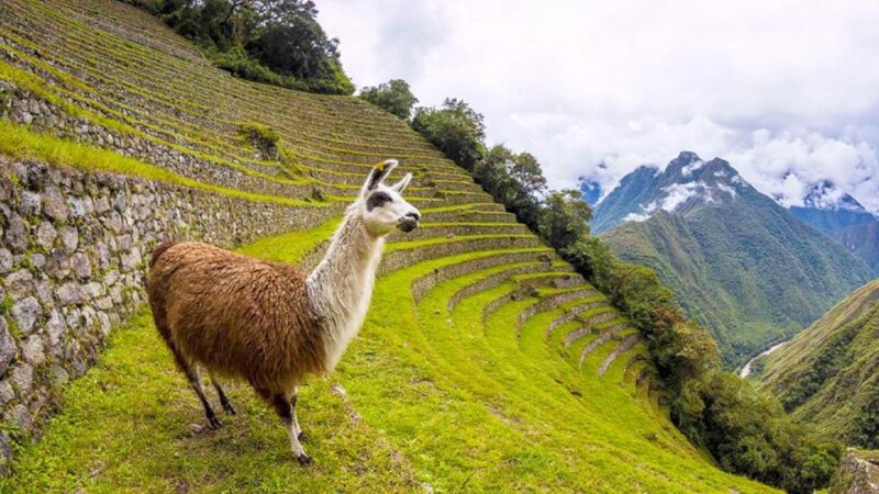Short Inca Trail to Machu Picchu 2D/1N - Itinerary: Day 1