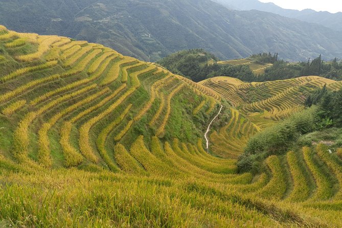 Short Li-River Cruise and Longji Rice Terraces Private Day Tour - Cancellation Policy