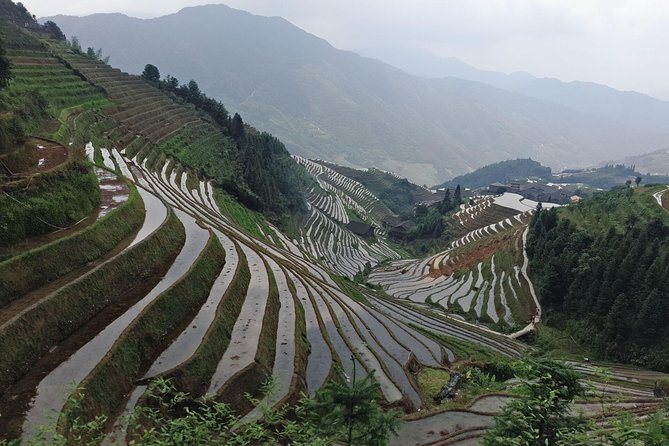 Short Li-River Cruise and Longji Rice Terraces Private Day Tour - Confirmation and Exclusivity