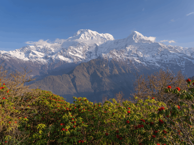Short Mardi Himal Trek: a Perfect 5-Day Escape From Pokhara - Important Considerations