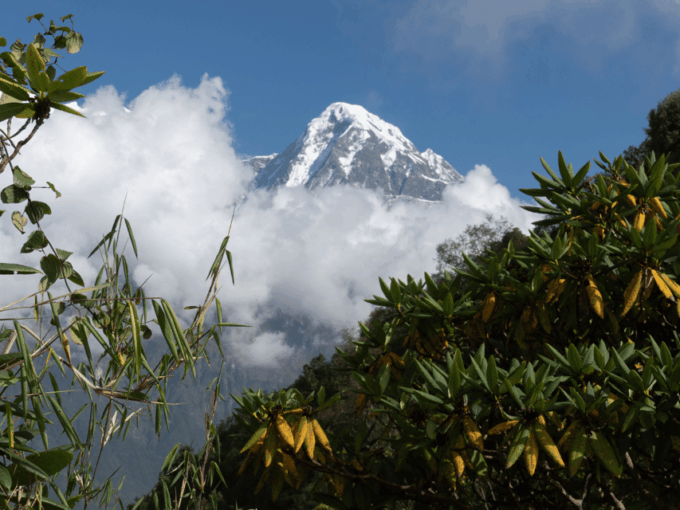 Short Mardi Himal Trek: a Perfect 5-Day Escape From Pokhara - Frequently Asked Questions