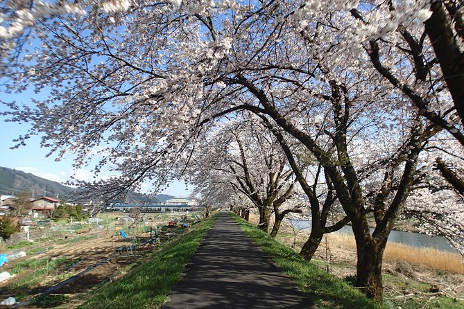 Short Morning Cycling Tour in Hida - Cultural Immersion