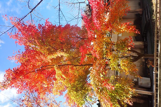 Short Morning Cycling Tour in Hida - Inclusions and Exclusions