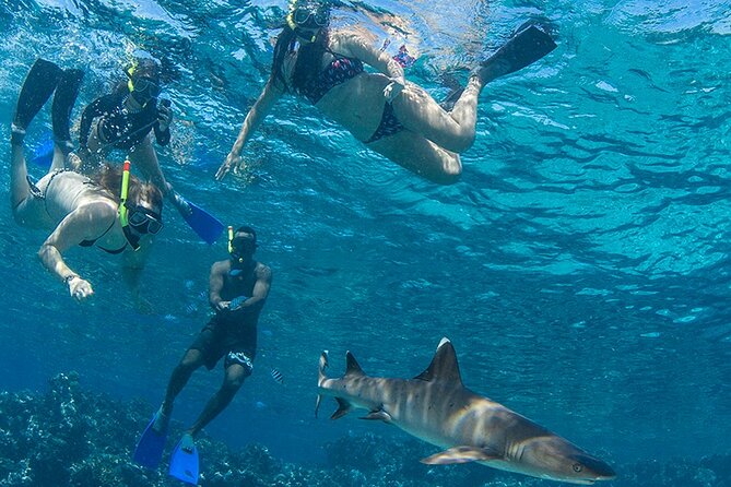 Short & Shark Package -3 Days | 2 Night - Additional Information