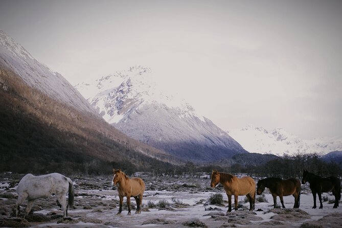 Short Trekking to Vinciguerra Glacier and Laguna Tempanos - Preparing for the Trek