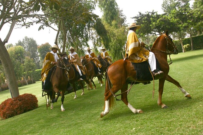 Show of Peruvian Paso Horse & Marinera With Lunch - Inclusions and Exclusions