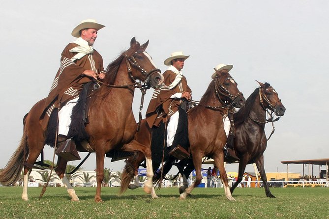 Show of Peruvian Paso Horse & Marinera With Lunch - Pricing and Cancellation Policy