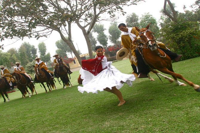 Show of Peruvian Paso Horse & Marinera With Lunch - Key Points