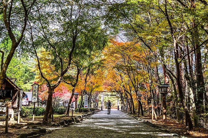 Shrine Explore in Yamanashi & Japanese Countryside Camp in Nagano - Camping in Nagano