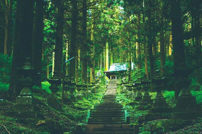 Shrine & Scenic Tour: Kamishikimi, Amano Iwato, Takachiho Gorge - Takachiho Gorge