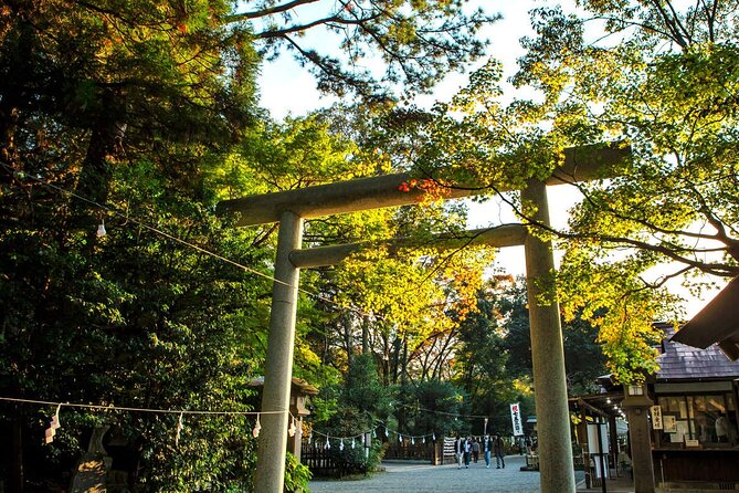 Shrine & Scenic Tour: Kamishikimi, Amano Iwato, Takachiho Gorge - Cancellation and Confirmation Policy
