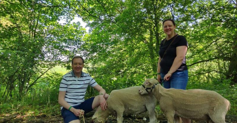 Shropshire Sheep Trekking - Key Points