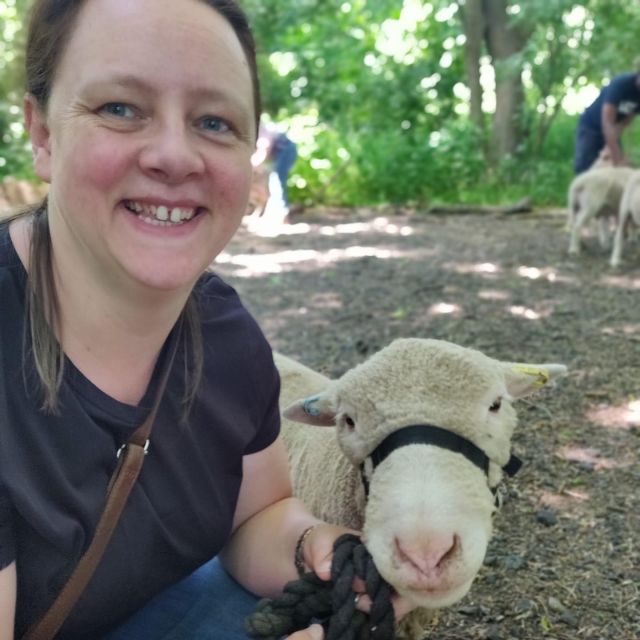 Shropshire Sheep Trekking - Guided Farm Stroll