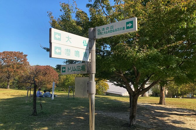 Shurakuen Great Buddha Tour From Nagoya - Highlights and Attractions