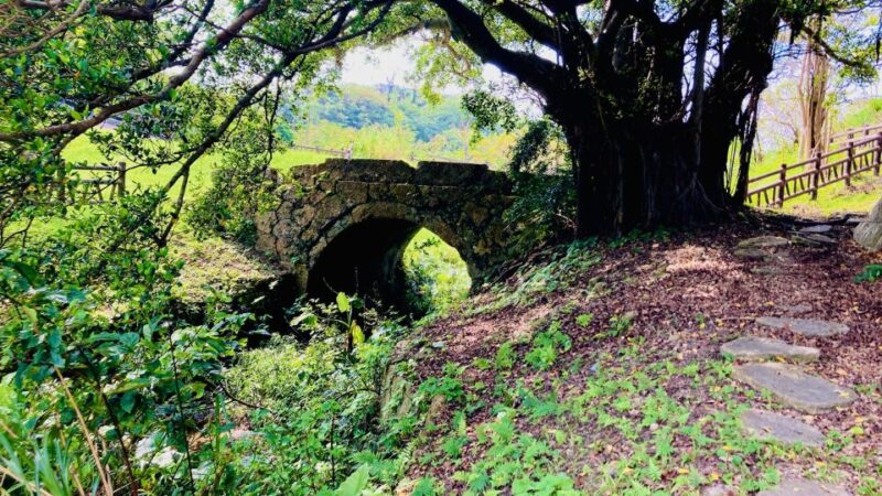 Shuri+Naha: Cycling Tour Explore Water Heritage With E-Bike - Itinerary Highlights