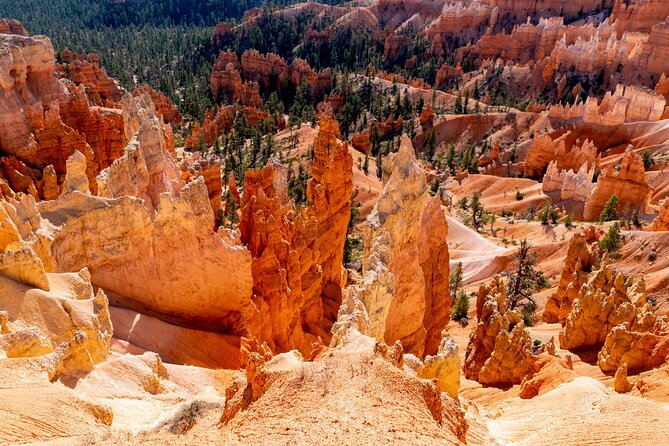 Shuttle Between Las Vegas, Bryce Canyon, Zion National Park and St George - Shuttle Amenities and Accessibility