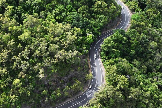 Shuttle Bus Transfer - Kuranda TO Cairns City - FAQ