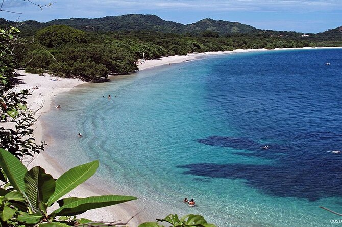 Shuttle From Liberia Airport To W Costa Rica Hotel - Comfortable and Roomy Transportation