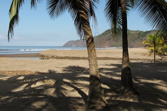 Shuttle From San Jose Airport To Jaco Beach or From Jaco Beach - Recap