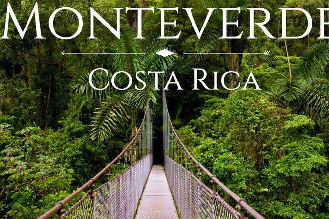 Shuttle From San Jose Airport To Monteverde - Key Points